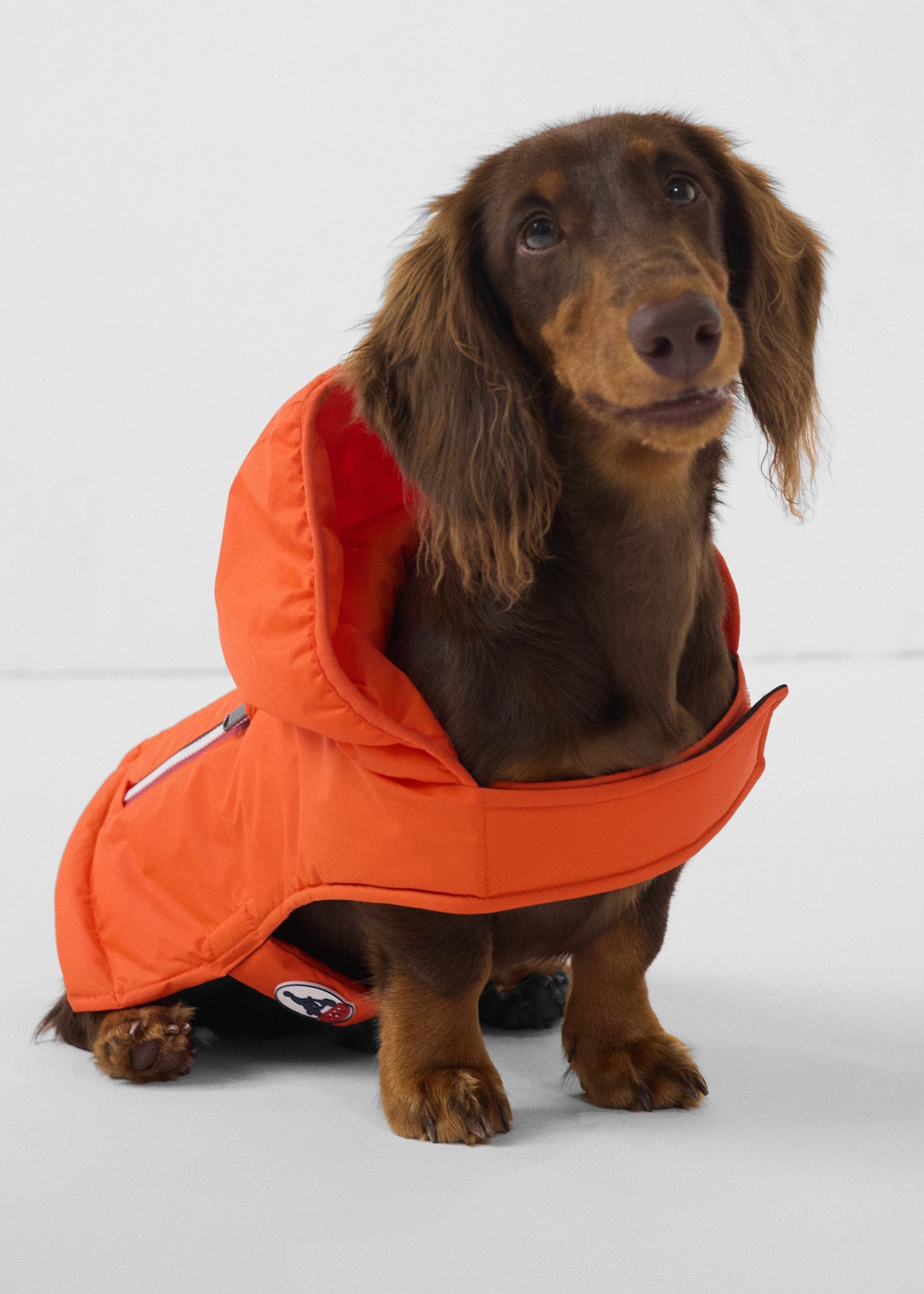 Imperméable pour chien Rouge feu Balto