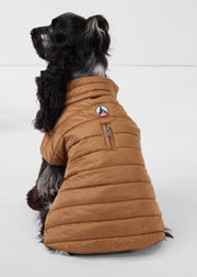 Doudoune pour chien Sucre roux Cutie