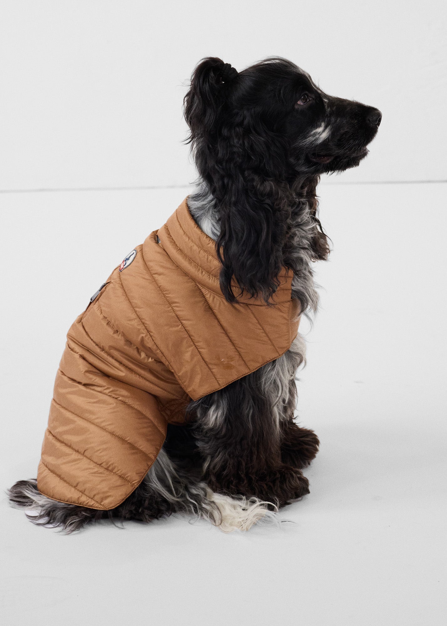 Doudoune pour chien Sucre roux Cutie