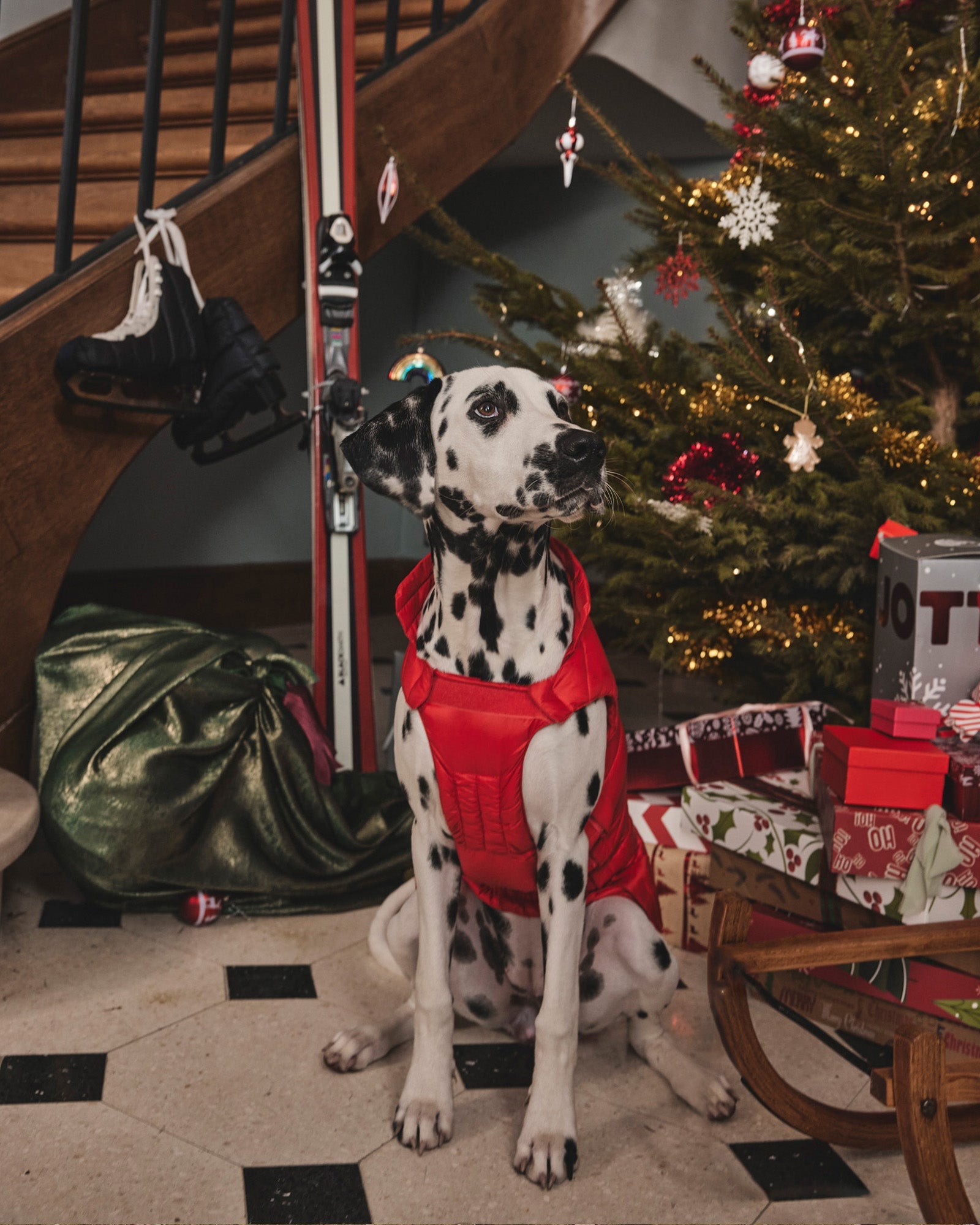 Doudoune pour chien Brique Tobbie